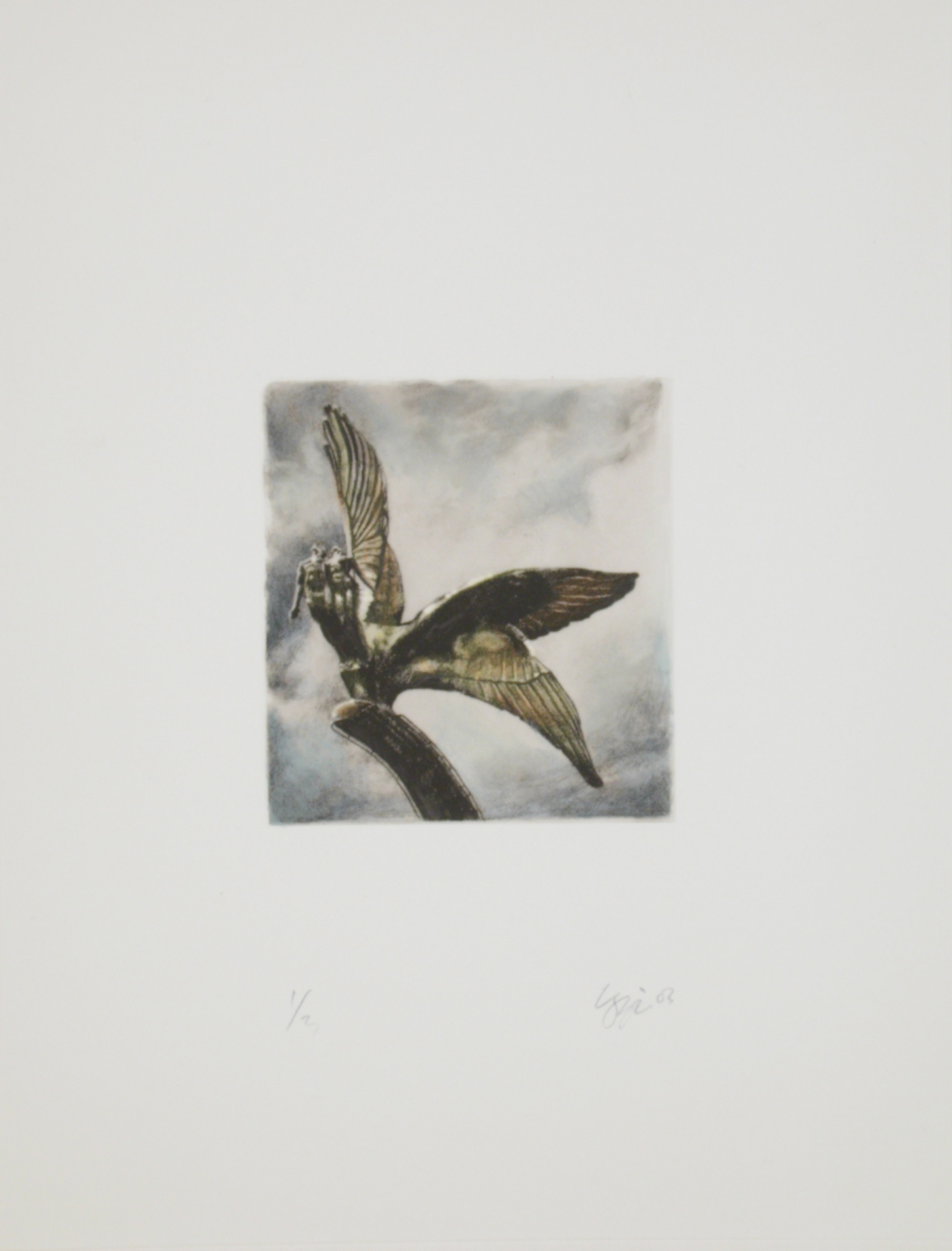 Wings by Lawrence Gipe