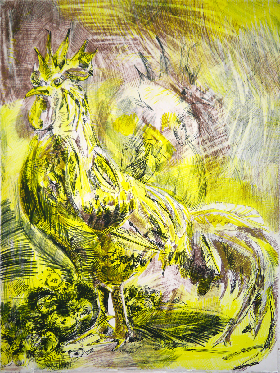 Coq by Frédérique Loutz