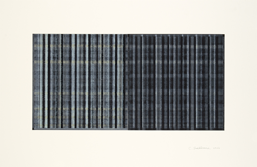 Private Investigations, 1 by Connie Saddlemire
