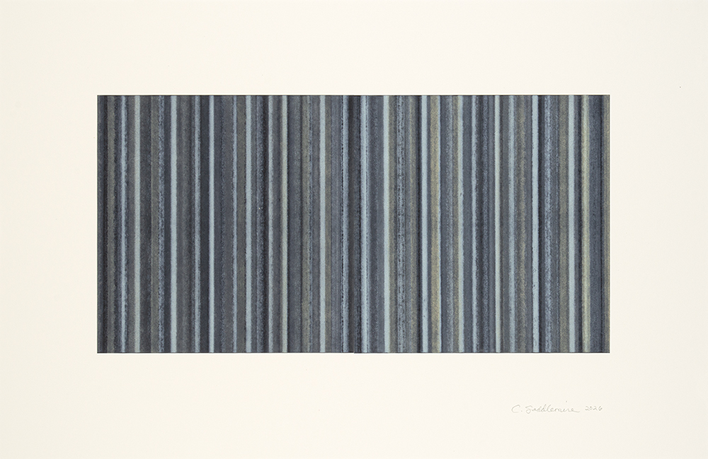 Private Investigations, 2 by Connie Saddlemire