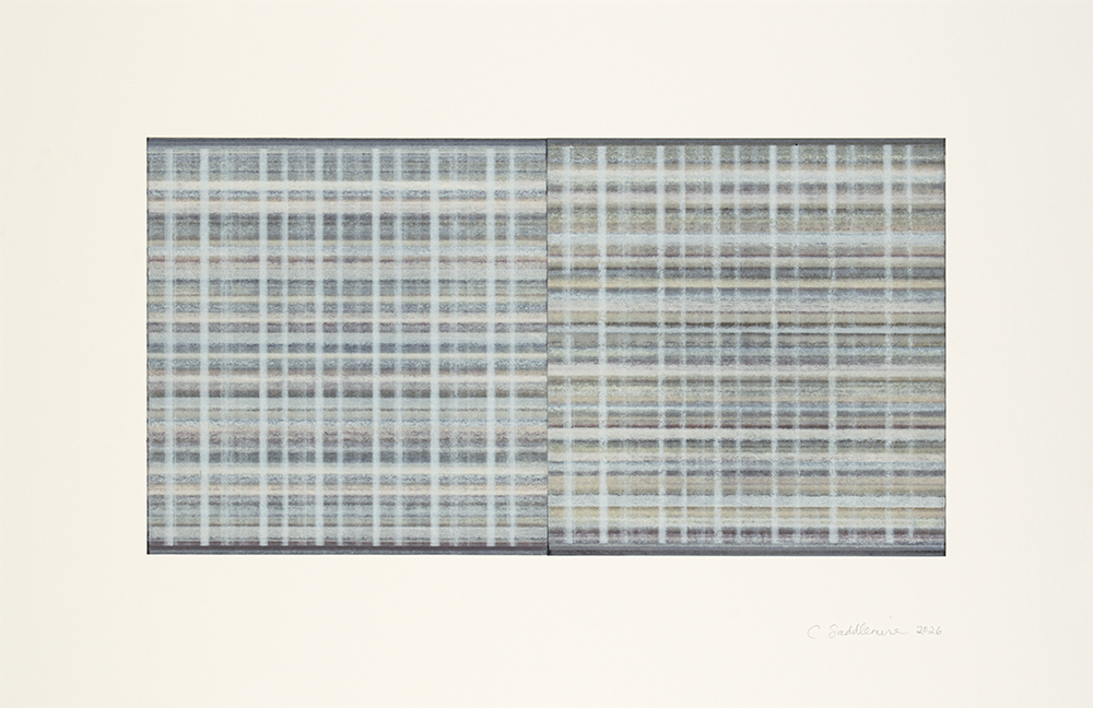 Private Investigations, 3 by Connie Saddlemire