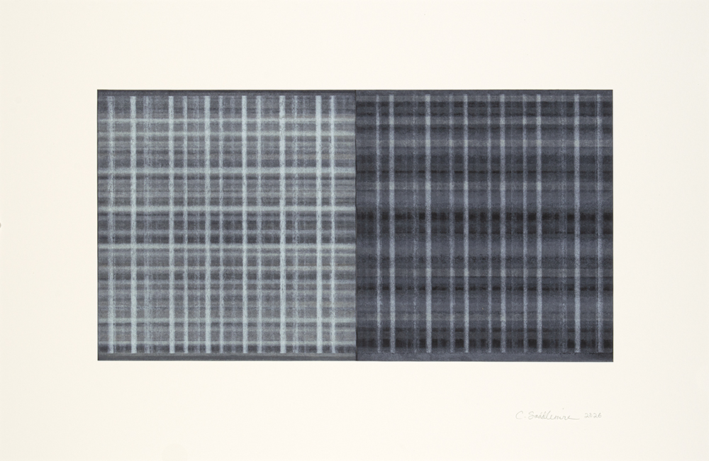 Private Investigations, 4 by Connie Saddlemire