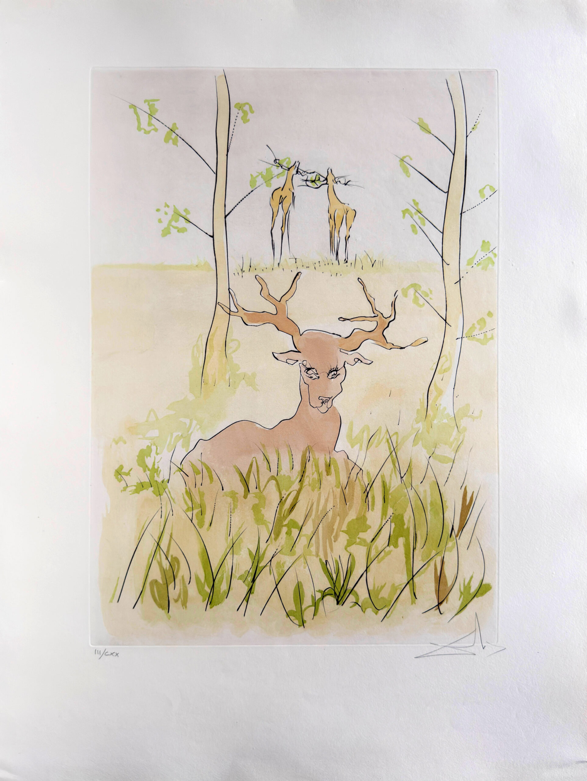 Le Cerf malade (The Sick Stag) by Salvador Dalí