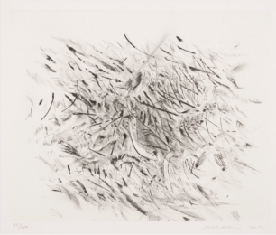 Haka by Julie Mehretu at Turner Carroll Gallery