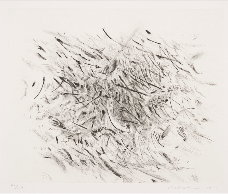 Haka by Julie Mehretu