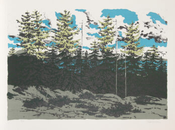 From Zeke’s Place (Maine Landscape) by Neil Welliver at RoGallery