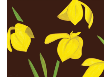 Yellow Flags on Brown by Alex Katz at Jim Kempner Fine Art