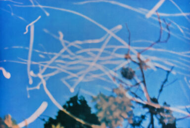 Sparks, from: Print Portfolio fo the Swiss Art Association by Gerhard Richter at Gilden's Art Gallery