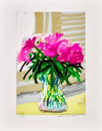 No 535 iPhone Drawing 28th June 2009 from My Window (Peonies) by David Hockney at Clifton Gallery