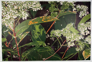 Chokeberry by Jean Gumpper at ebo Gallery