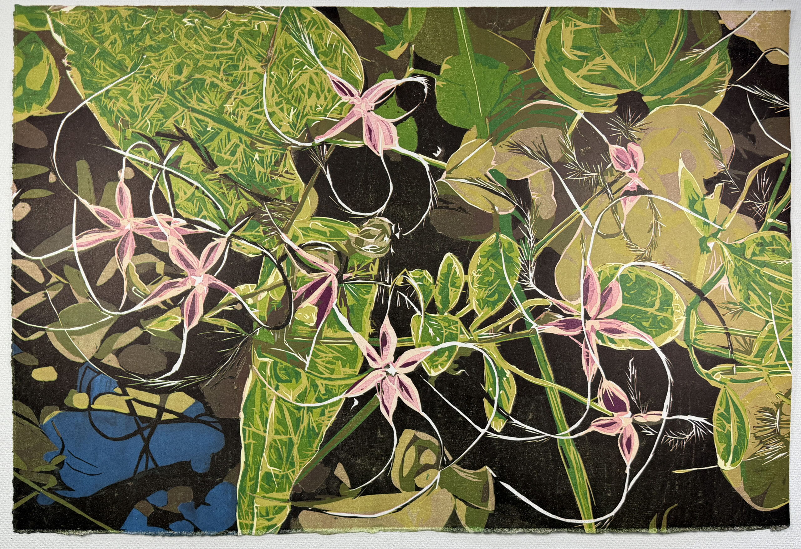Clematis 2 by Jean Gumpper