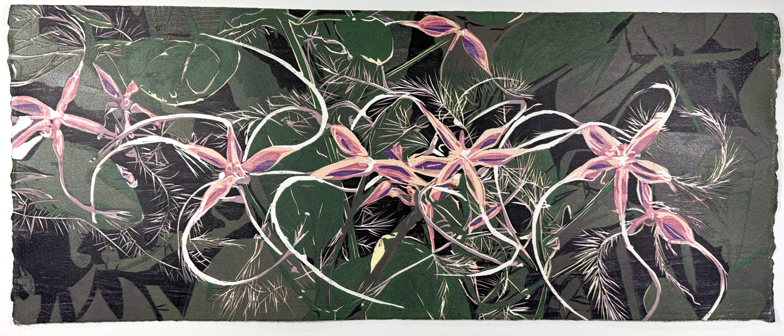 Clematis 1 by Jean Gumpper