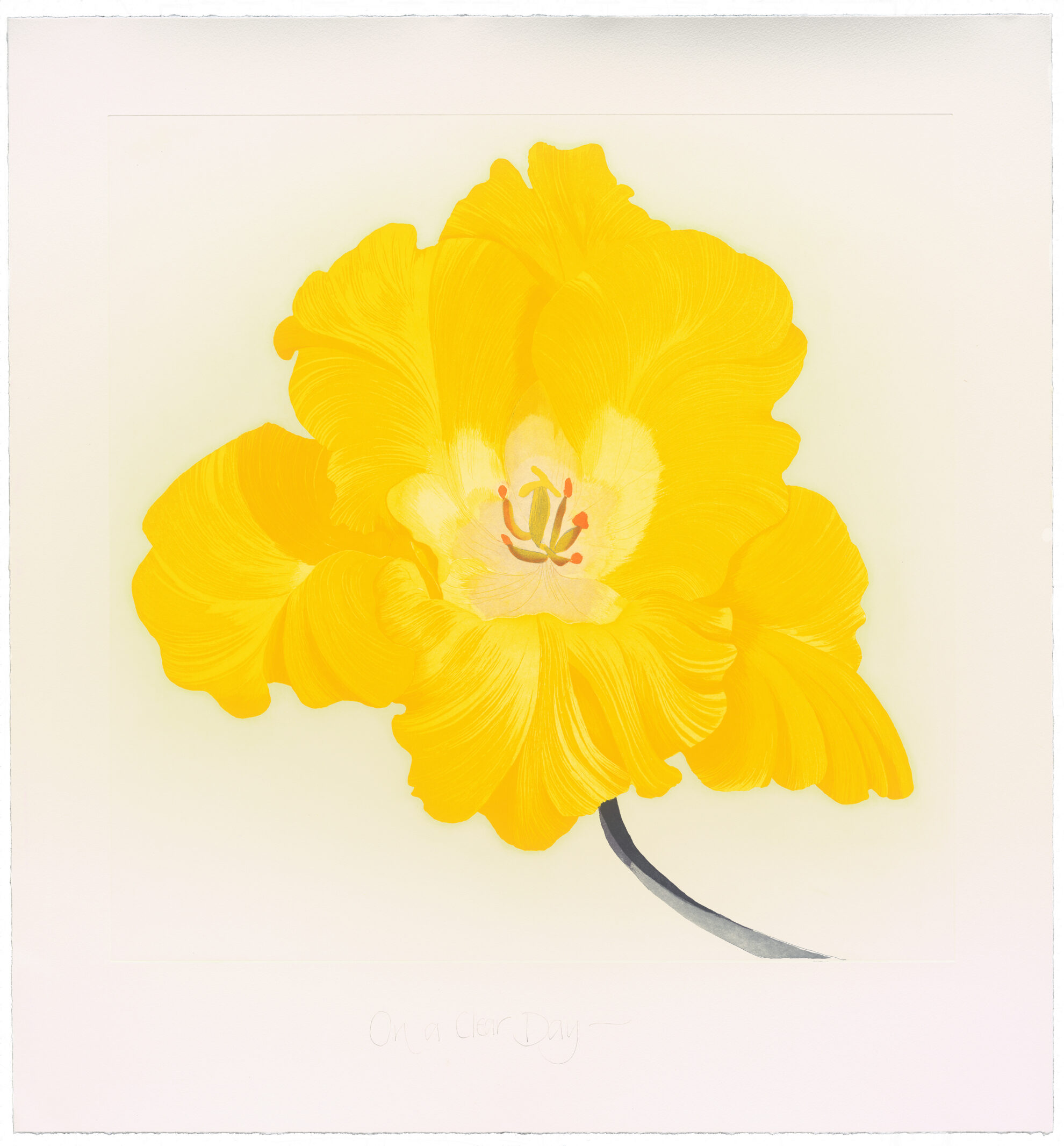 On a Clear Day by Grainne Cuffe