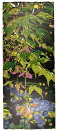 Japanese Maple by Jean Gumpper at ebo Gallery