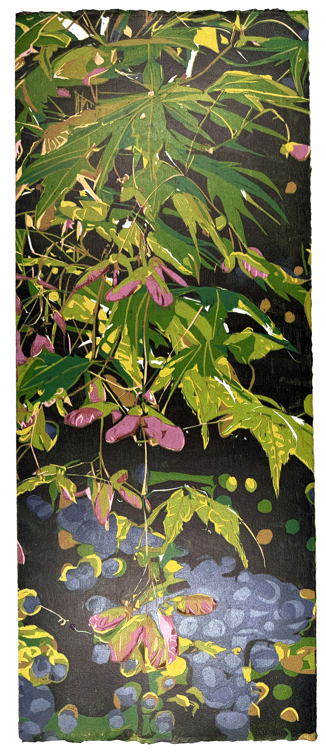 Japanese Maple by Jean Gumpper