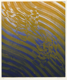 Free Fall by Stanley William Hayter at Annex Galleries