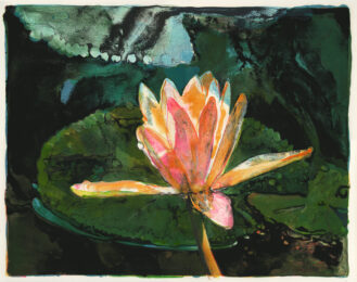 New Lily by Joseph Raffael at Annex Galleries