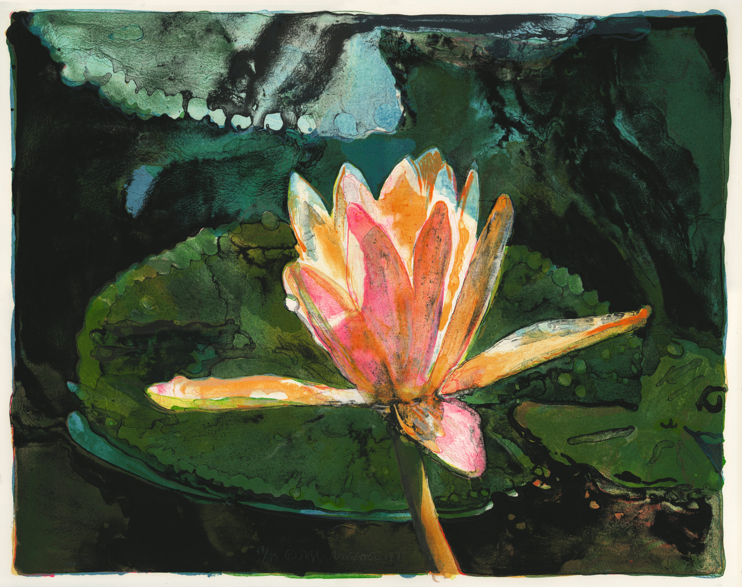 New Lily by Joseph Raffael