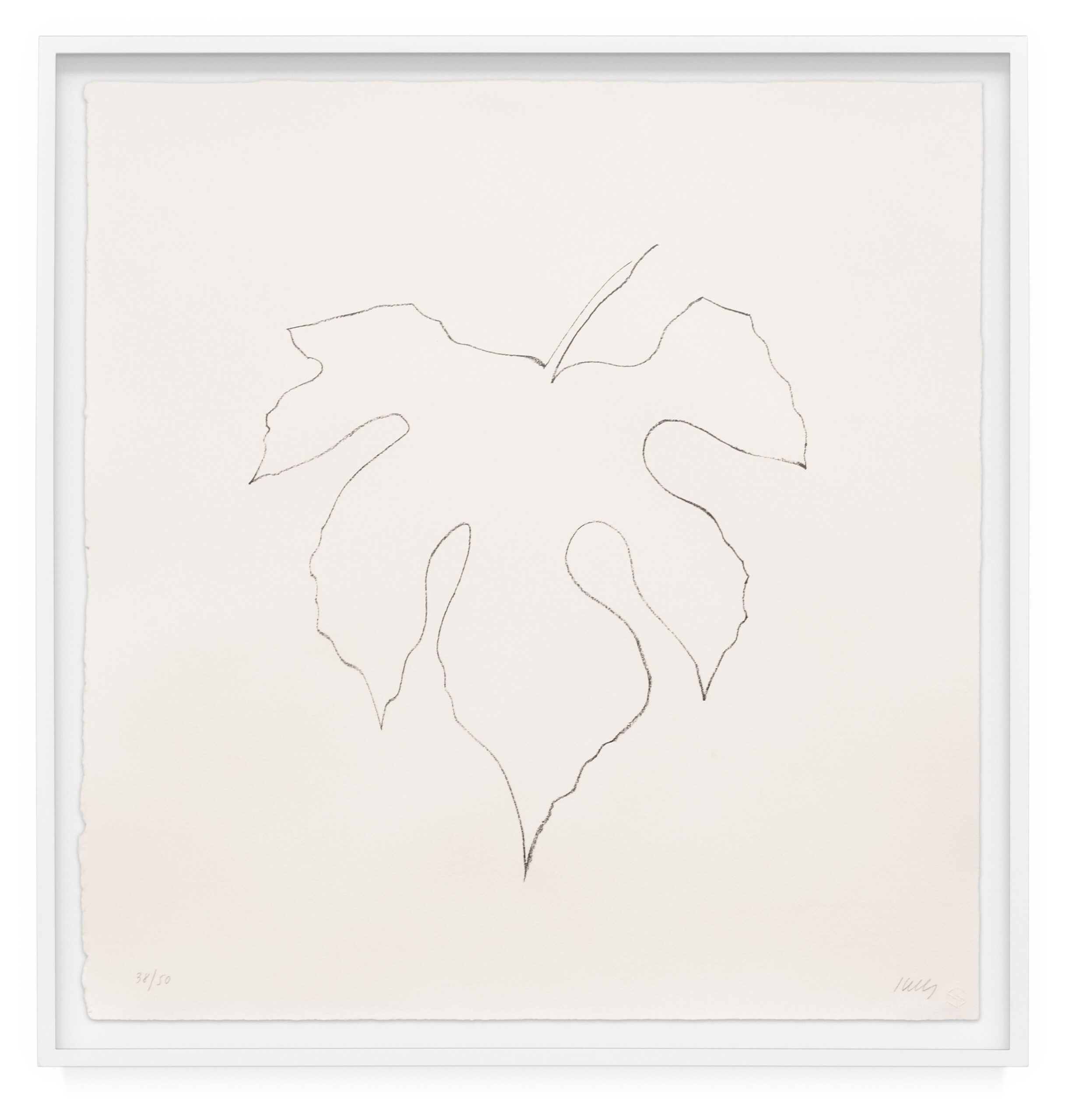 Wild Grape Leaf by Ellsworth Kelly