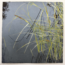 Pond Sedge by Jean Gumpper at ebo Gallery
