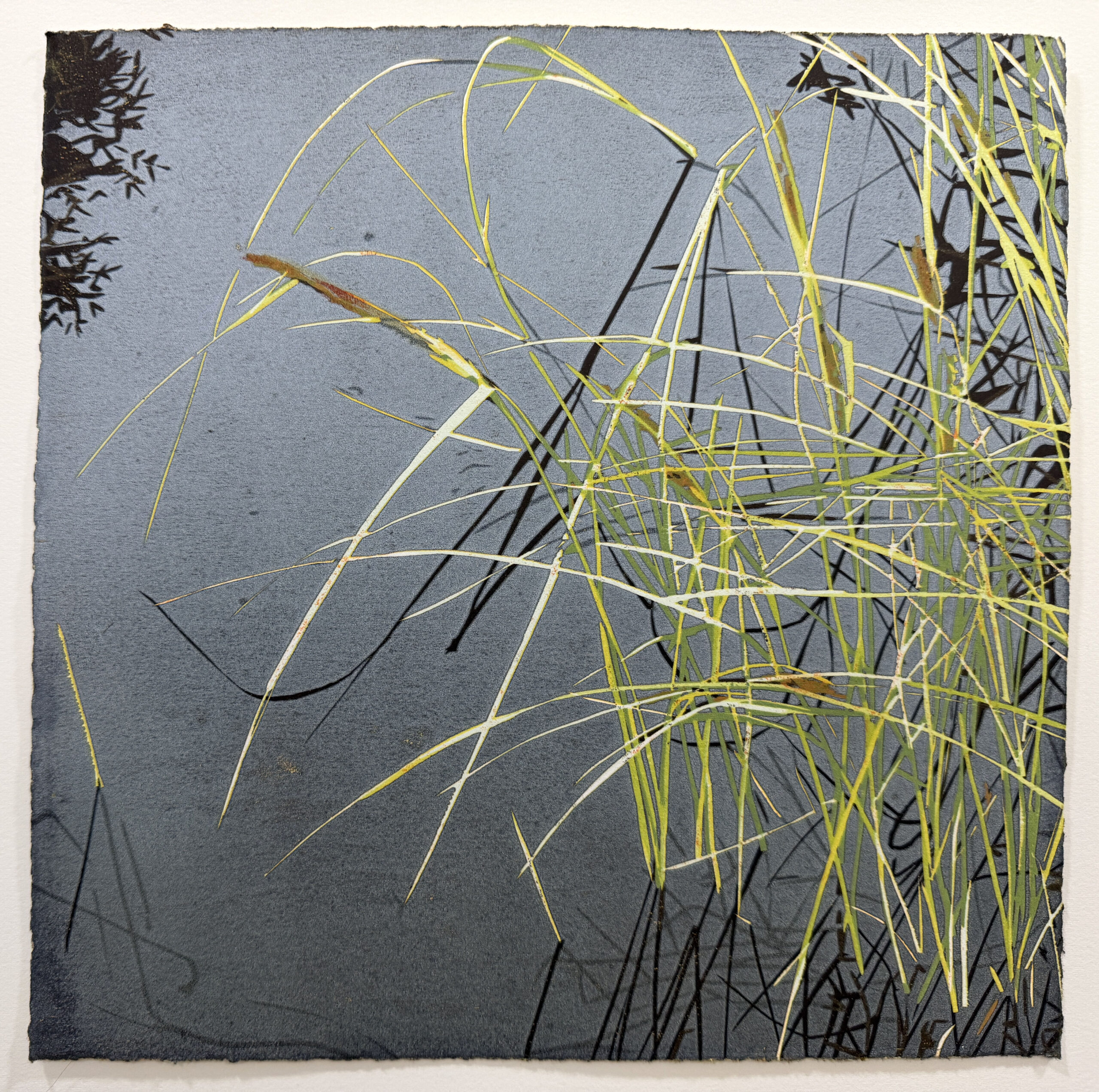 Pond Sedge by Jean Gumpper