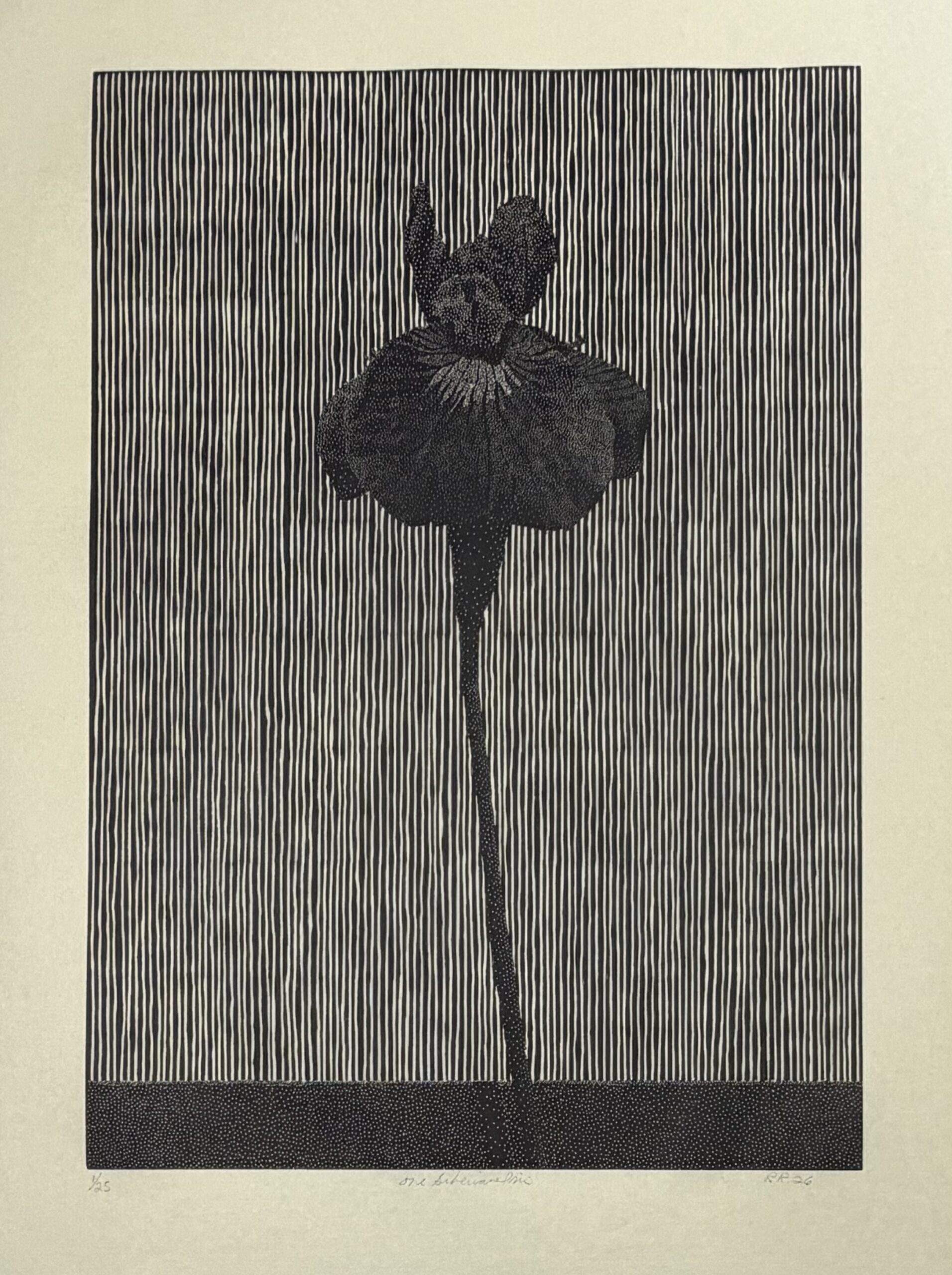 One Siberian Iris (black version) by Richard Ryan