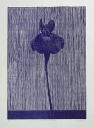 One Siberian Iris by Richard Ryan at Center Street Studio