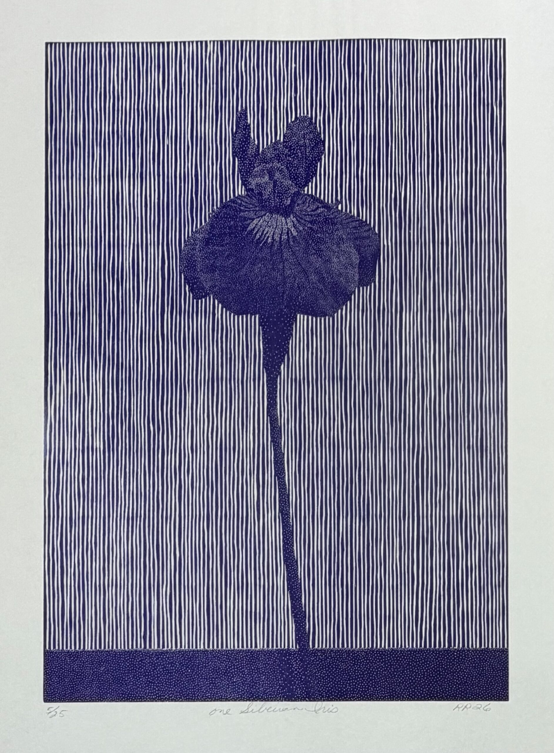 One Siberian Iris by Richard Ryan