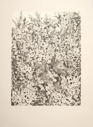 In The Field by Serena Perrone at Flatbed Press and Gallery