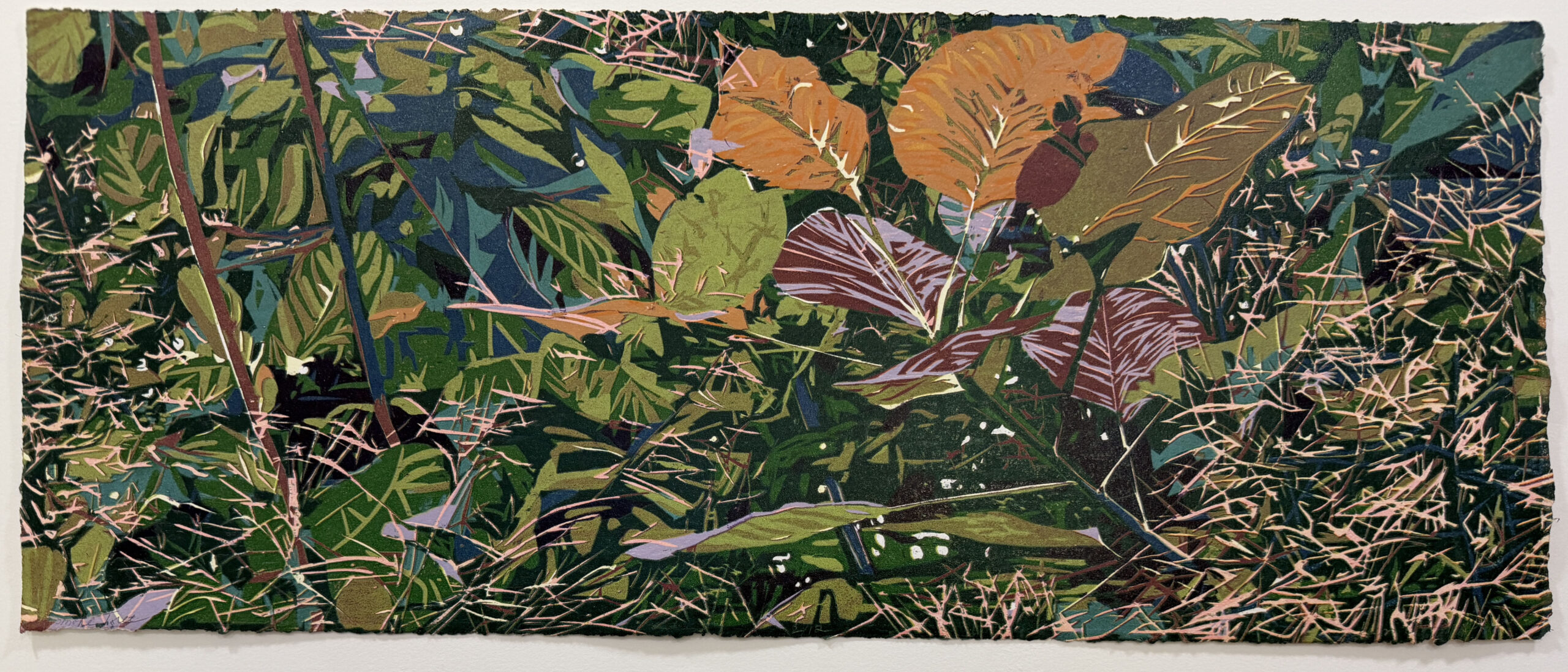 Smoke Tree by Jean Gumpper