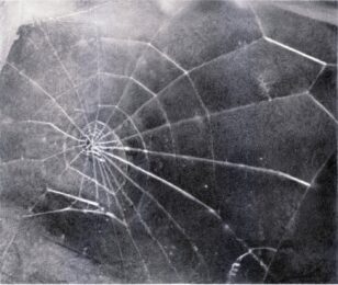 Spider Web by Vija Celmins at Jim Kempner Fine Art