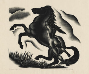 Black Stallion by Paul Landacre at Annex Galleries