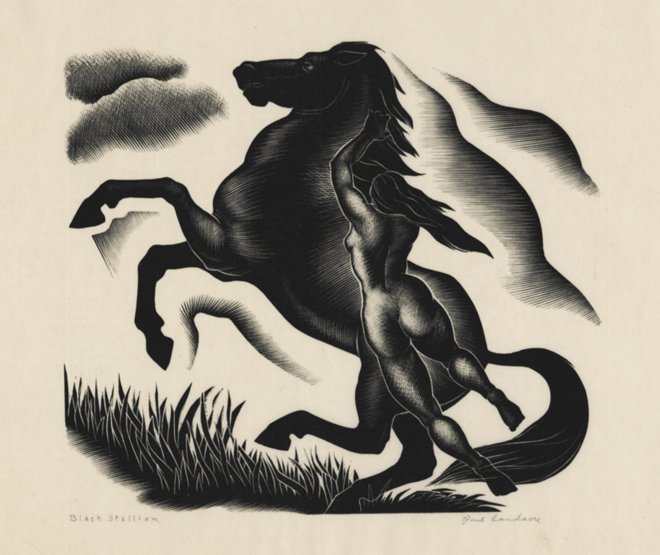 Black Stallion by Paul Landacre