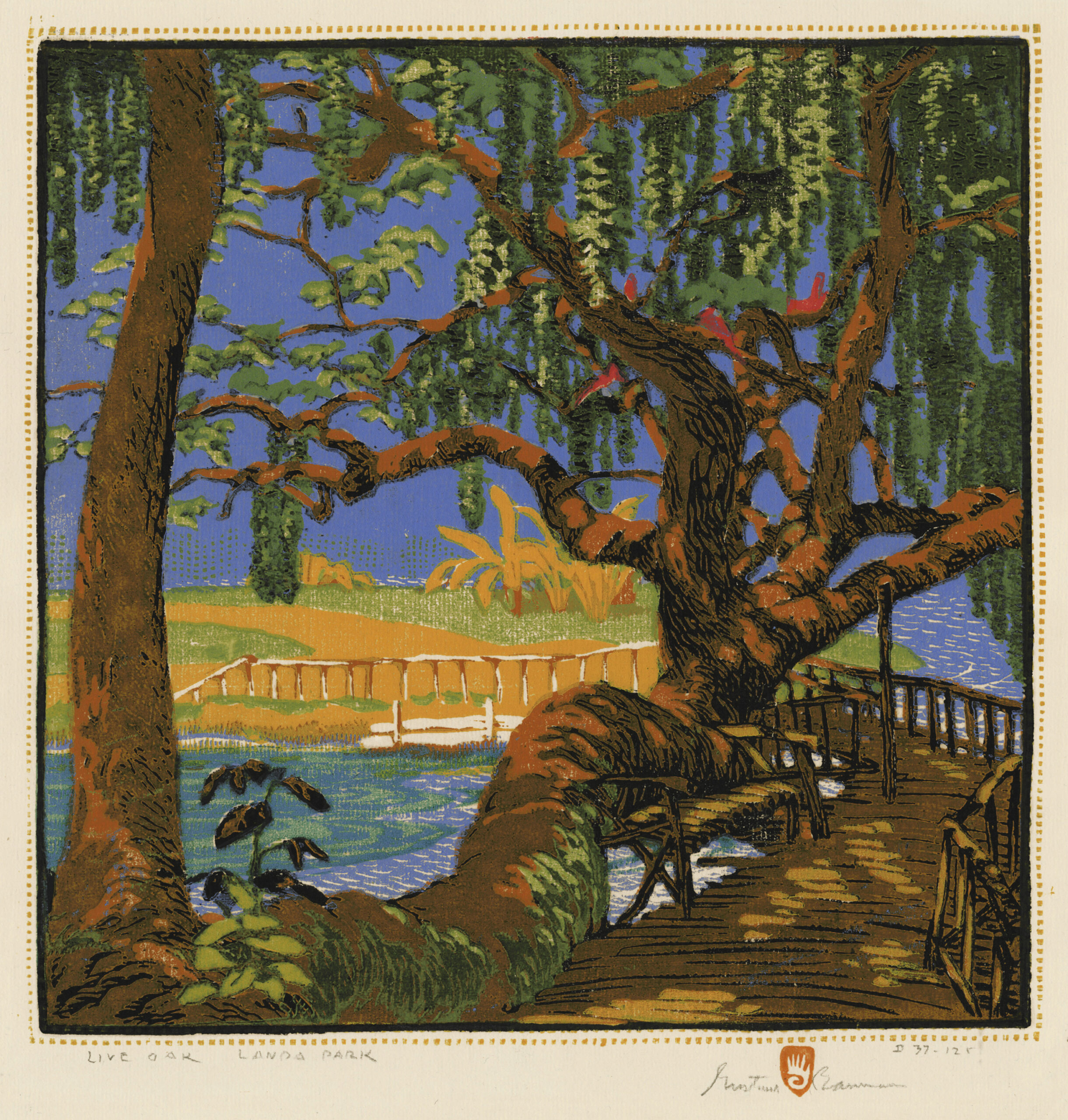 Live Oak – Landa Park by Gustave Baumann
