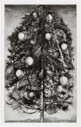 Black and White Blossom by Jim Dine at Graphicstudio
