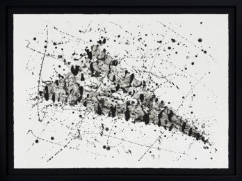 Untitled (SF-240) by Sam Francis at GallArt.com