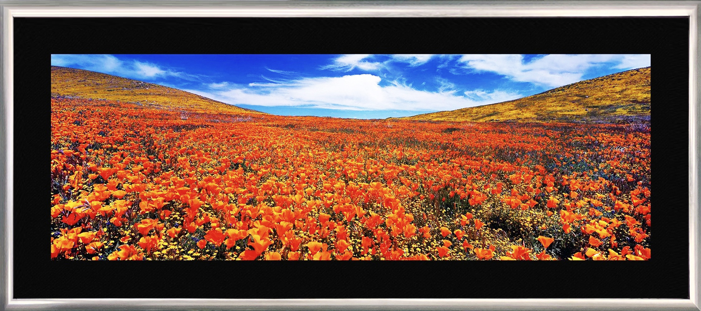 Meadow Dreaming (200 cm) by Peter Lik