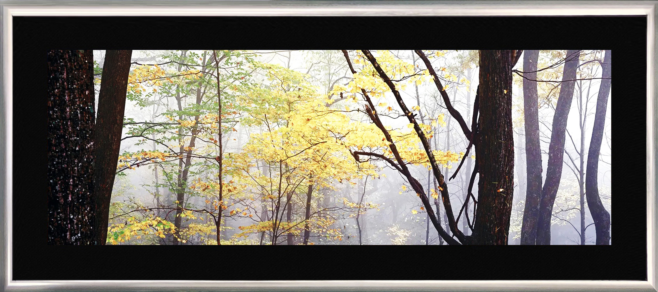 Lost Forest (200 cm) by Peter Lik