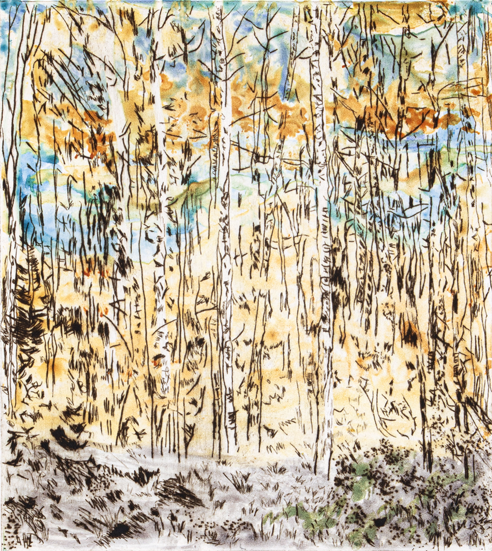 Asp Grv – Autumn by Sarah Klahn