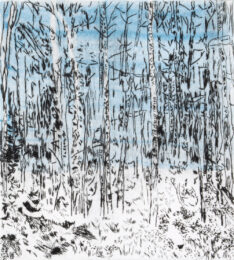 Asp Grv – Winter I by Sarah Klahn at Oehme Graphics