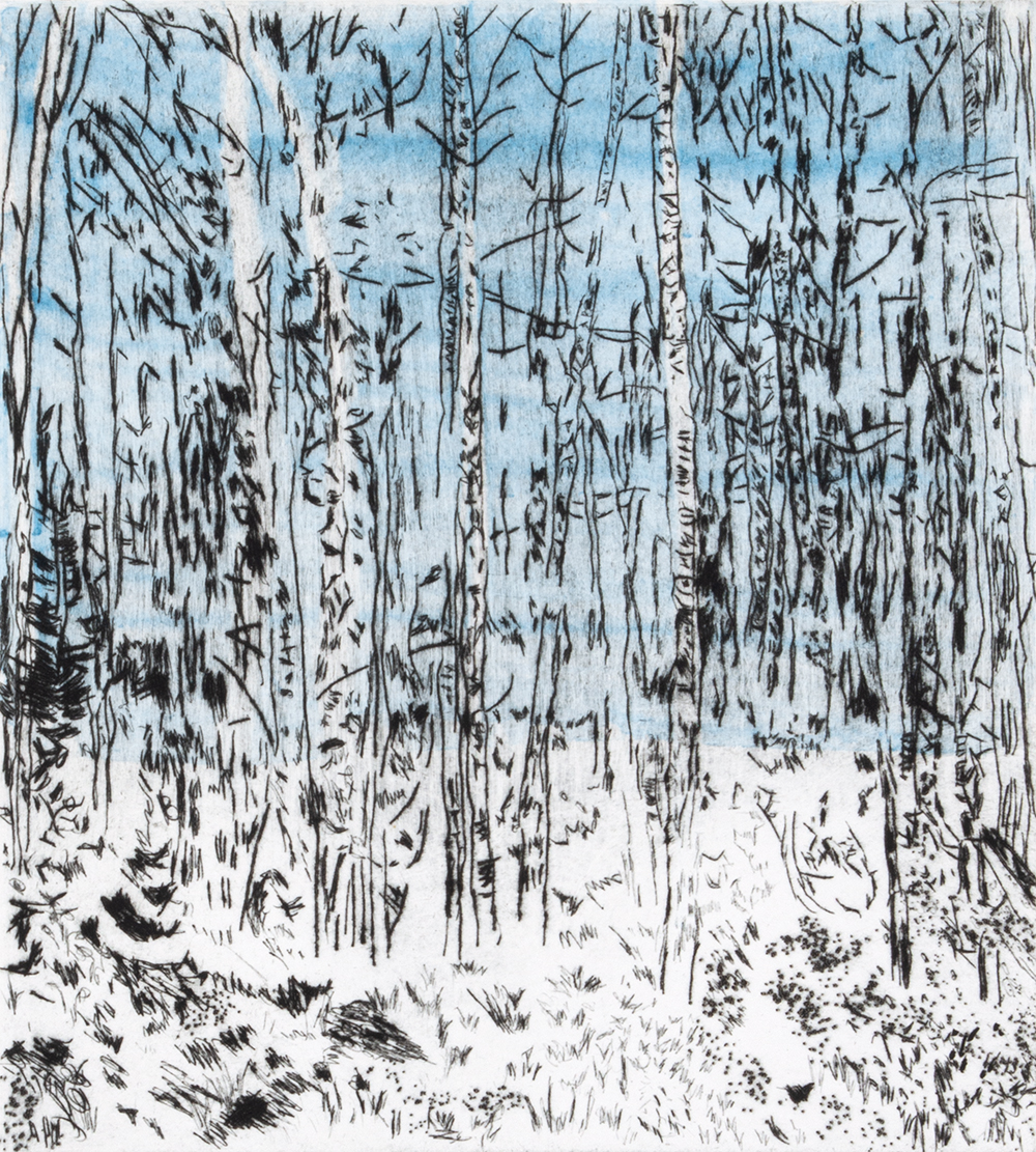 Asp Grv – Winter I by Sarah Klahn