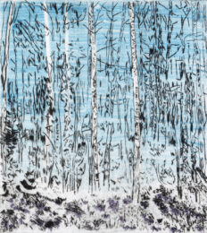 Asp Grv Winter IV by Sarah Klahn at Oehme Graphics