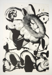 Black Garden D.E. No. 1 by Catherine Howe at Manneken Press (IFPDA)