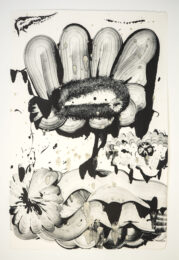 Black Garden D.E. No. 3 by Catherine Howe at Manneken Press (IFPDA)