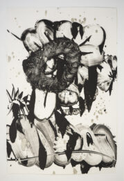 Black Garden D.E. No. 5 by Catherine Howe at Manneken Press (IFPDA)
