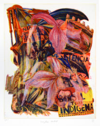 Brazilian Orchid, from Spring Wake, Vol. 1, 2025 by Zorawar Sidhu & Rob Swainston at LeRoy Neiman Center for Print Studies