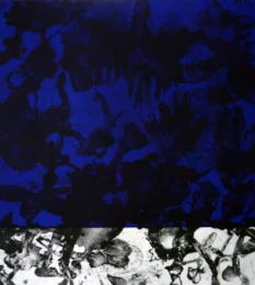 The stars of the sky are on earth….IV by Pedro Cabrita Reis at Galería La Caja Negra