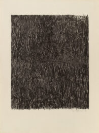 Coat Hanger I by Jasper Johns at Susan Sheehan Gallery
