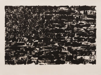 Flag i by Jasper Johns at Susan Sheehan Gallery