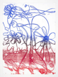 Flower Float No.2 by Catherine Howe at Manneken Press (IFPDA)